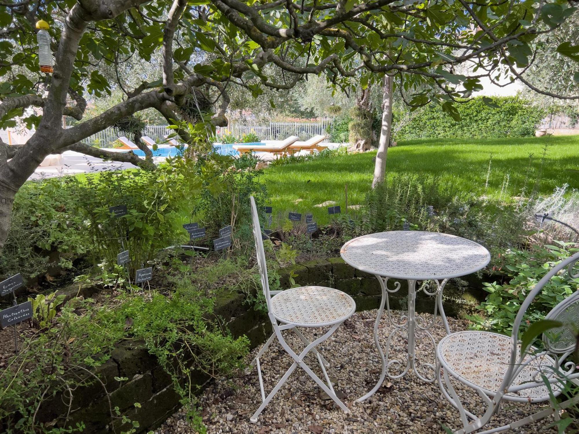 Villa La Rodina 디아노마리나 외부 사진