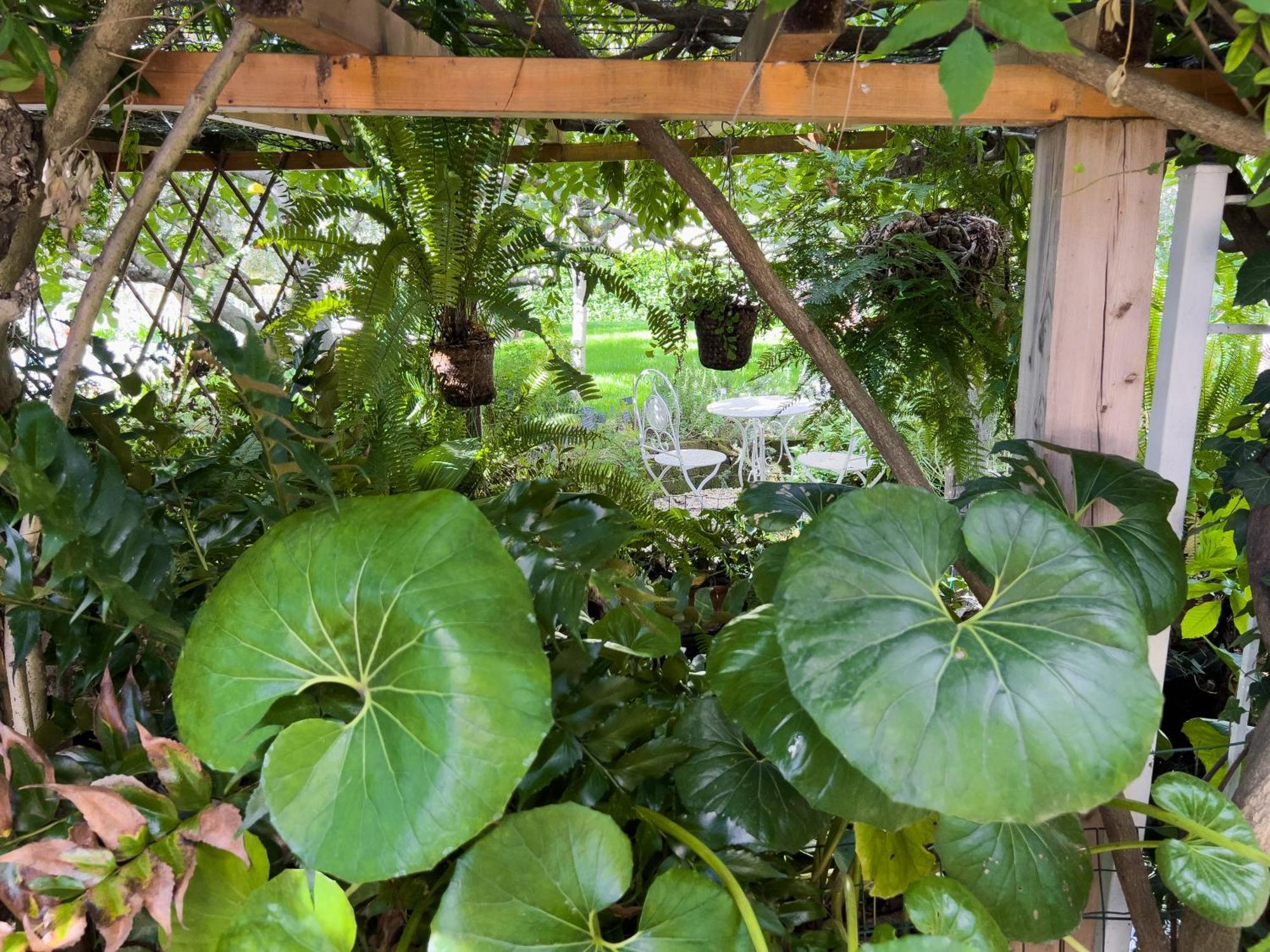Villa La Rodina 디아노마리나 외부 사진