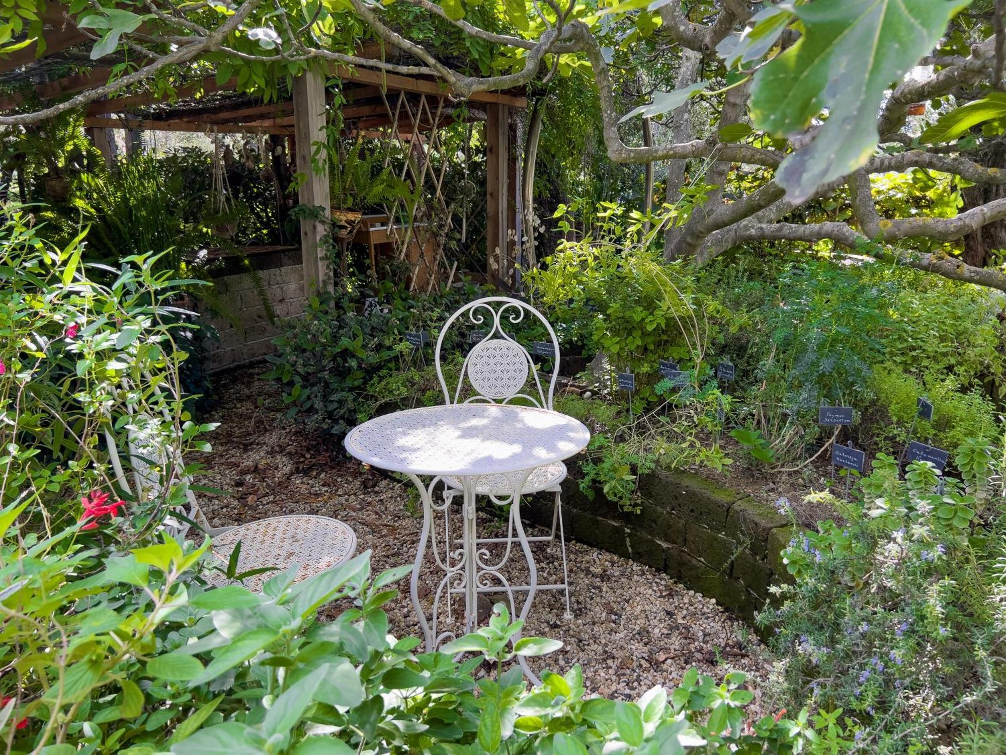 Villa La Rodina 디아노마리나 외부 사진